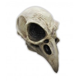 Máscara cráneo de aves