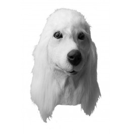 Maschera Cane in Lattice Barboncino