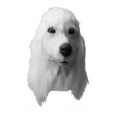 Maschera Cane in Lattice Barboncino